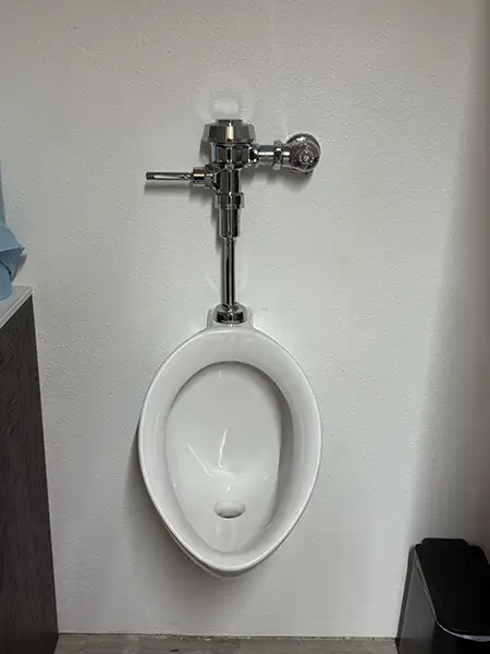 Professional Plumbing Services