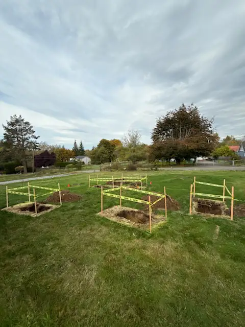 Professional Plumbing Services